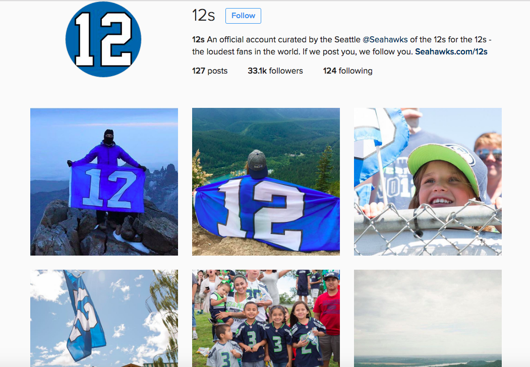 Seattle Seahawks Fans