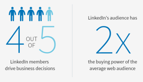 LinkedIn-Audience-Preview